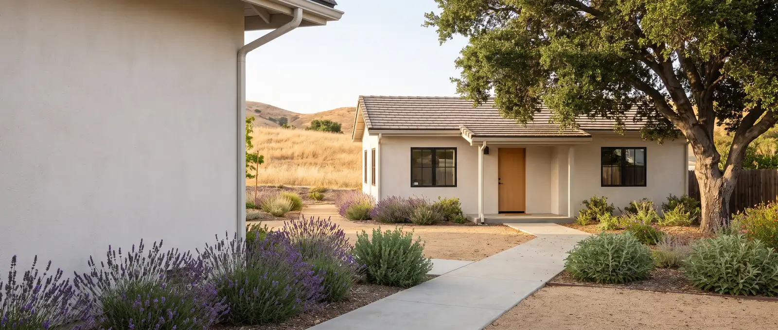Casita ADU independiente de un piso en estuco claro al fondo de un patio con lavanda, un encino y cerros dorados detrás, ilustración generada con IA